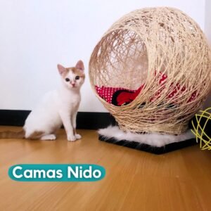 Camas y Nidos