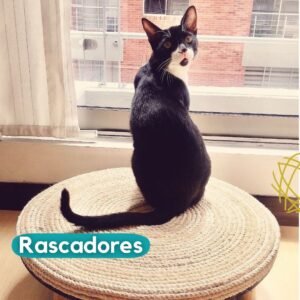 Rascadores