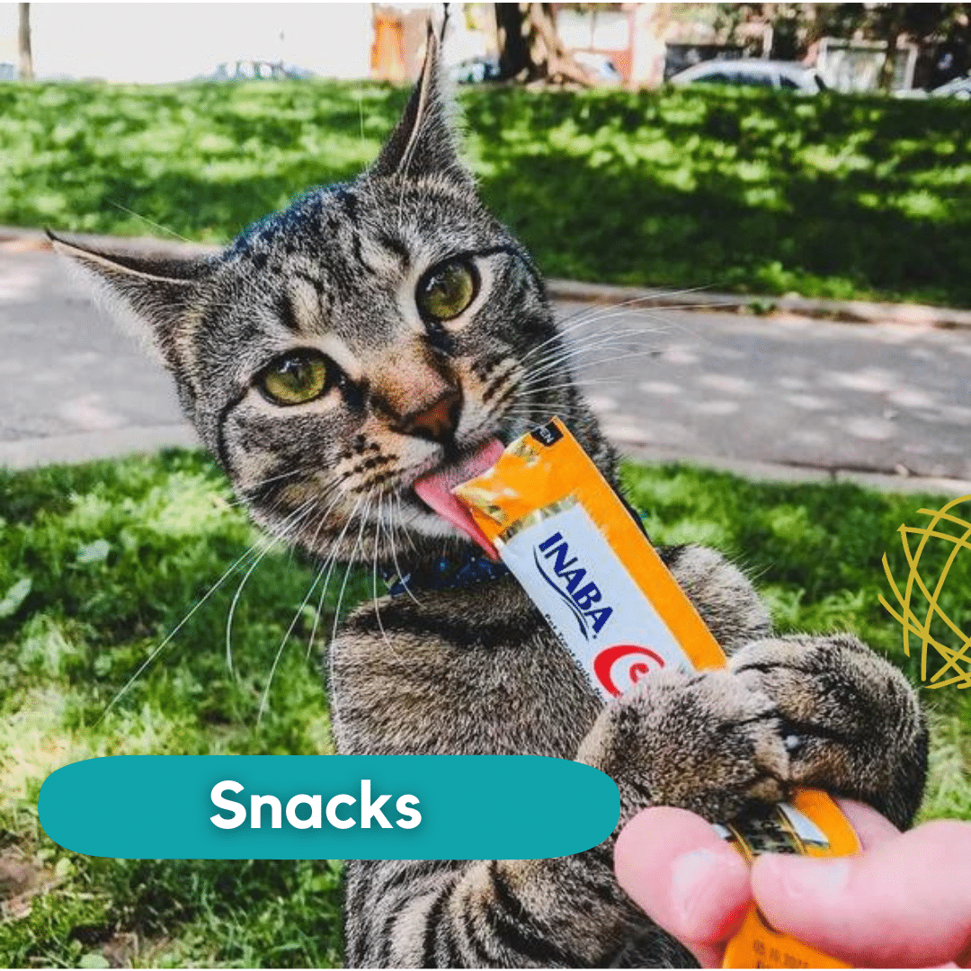 CatSnacks